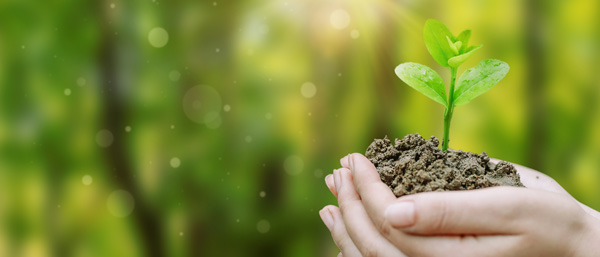 土壤污染狀況調查,沈陽廢水廢氣土壤檢測布點采樣有哪些要點?