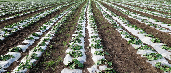 什么是廢水廢氣土壤檢測?沈陽第三方檢測機構告訴您。