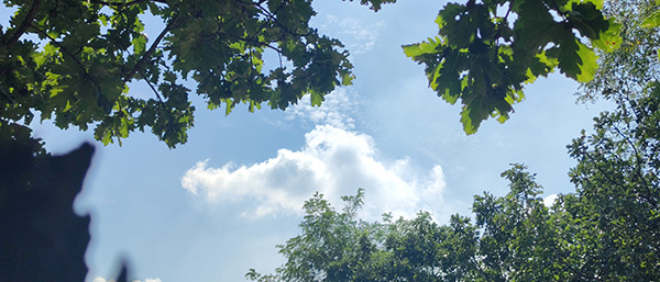 遼寧省第三方監測公司檢測流程詳解