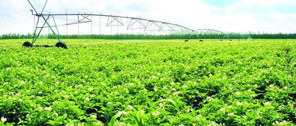 探討沈陽(yáng)第三方檢測(cè)公司在土地檢測(cè)中的重要性