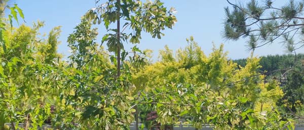 沈陽(yáng)水質(zhì)檢測(cè)公司有哪些水質(zhì)檢測(cè)服務(wù)優(yōu)點(diǎn)