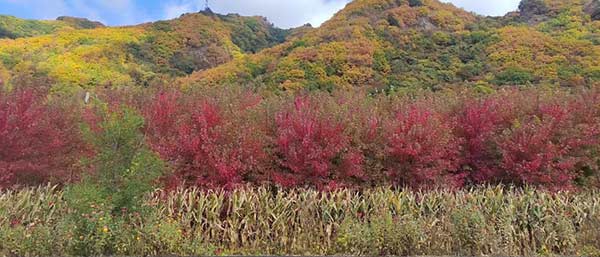 沈陽(yáng)固廢檢測(cè)公司的服務(wù)類型概述