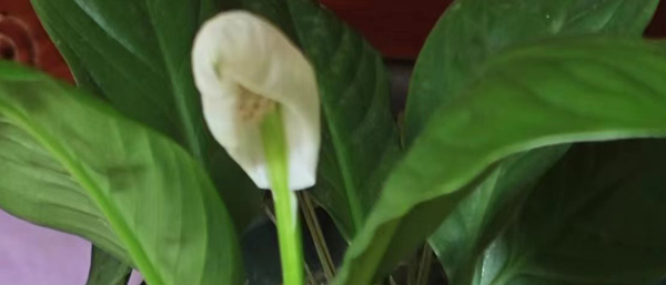 遼寧第三方檢測機構的環境檢測服務