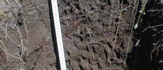 沈陽土壤檢測守護(hù)土地健康,保障未來家園