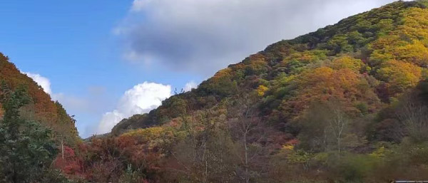 沈陽第三方檢測的作用與選擇:工程質量安全的守護者