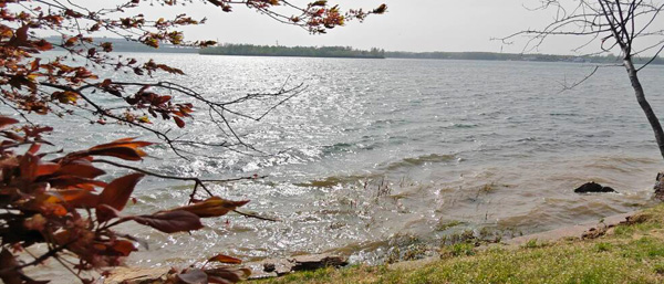 沈陽cma檢測機構覆蓋建筑工程、環境檢驗等領域! 沈陽cma檢測機構覆蓋建筑工程、環境檢驗等領域!