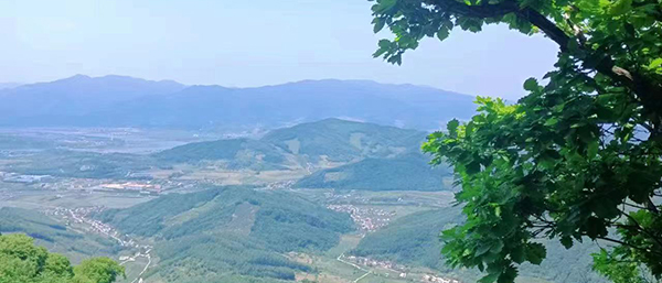 遼寧第三方檢測機構揭秘環境檢測的重要性