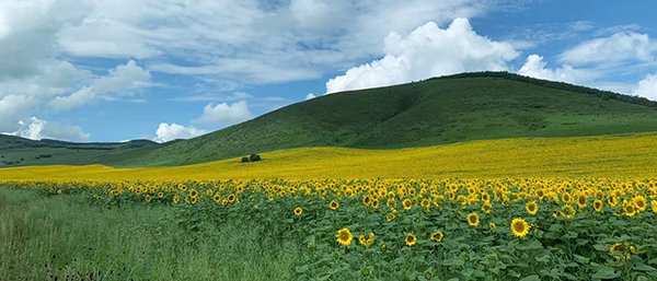 遼寧第三方檢測機構堅守環境保護的使命守護綠水青山