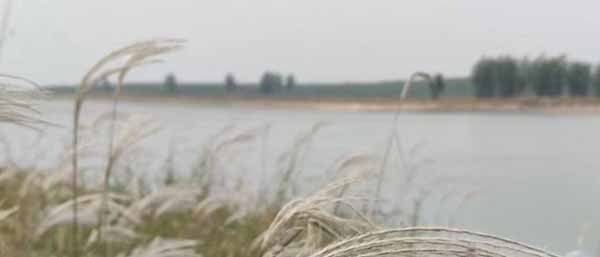 揮發性有機物自動監測系統公司淺談揮發性有機物的檢測流程