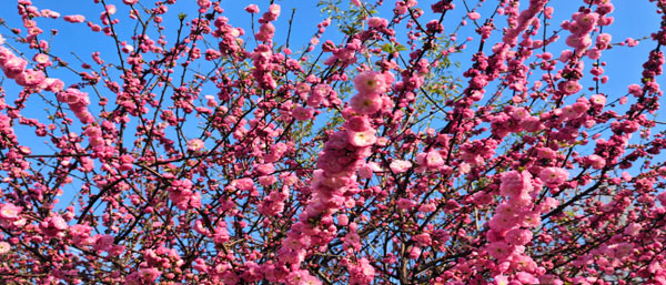 沈陽水質檢測:流程保障水質安全,每一步不可或缺 沈陽水質檢測:流程保障水質安全,每一步不可或缺