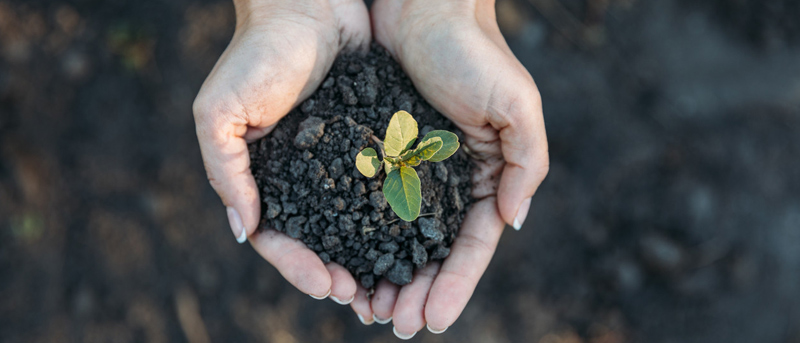 遼寧省環(huán)境中土壤污染情況以及檢測(cè)手段分析