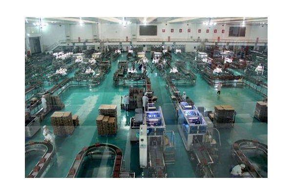 全自動食品/藥品/日用品后段包裝生產線